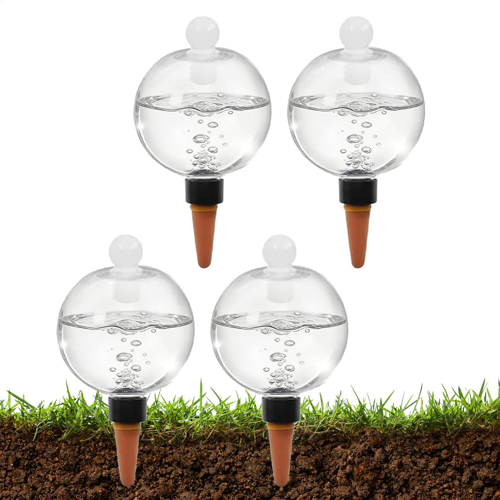 Echeveria Succulent - Plant Watering Bulbs 4pcs 500ml Clear