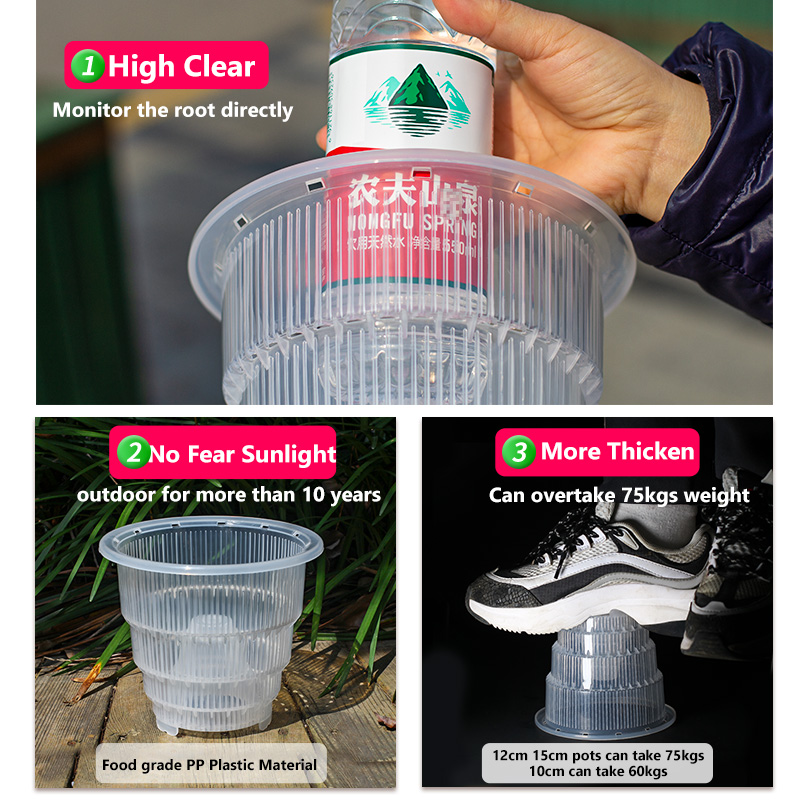 Meshpot Clear Plastic Orchid P - Aloe Vera Pot recension och pris