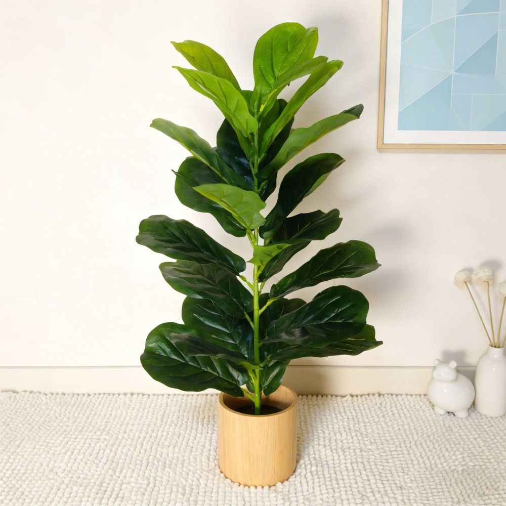 Green Plastic Artificial Ficus - Dracaena Marginata recension och pris
