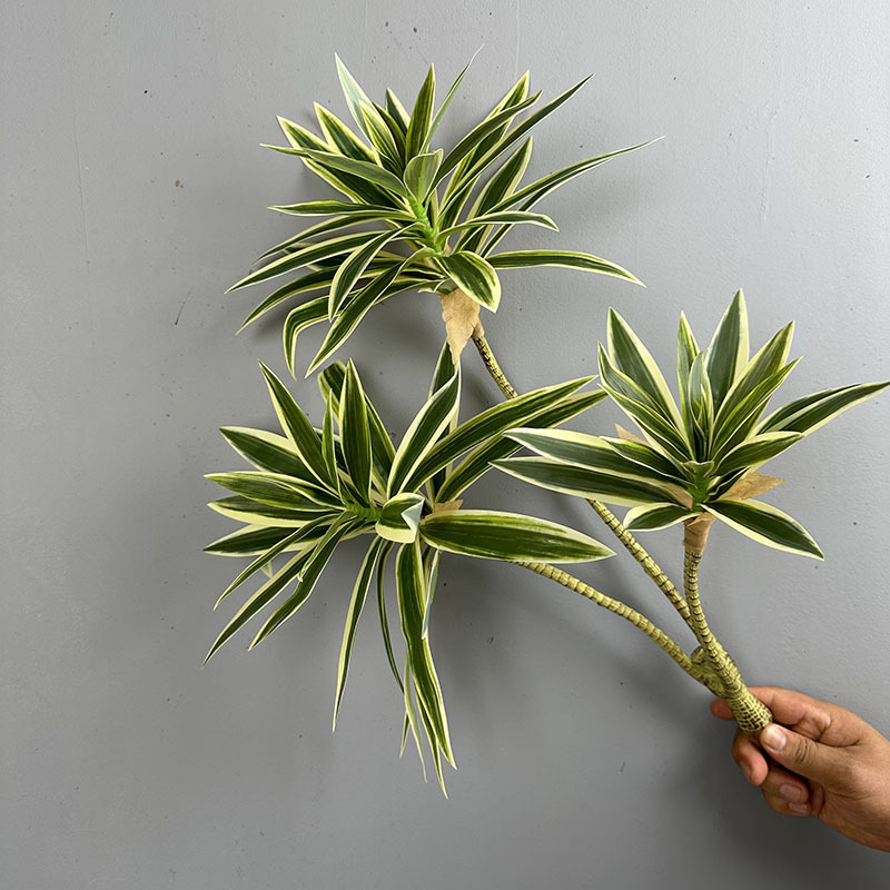 Simulated Green Plants 3 Heads - Dracaena Marginata recension och pris