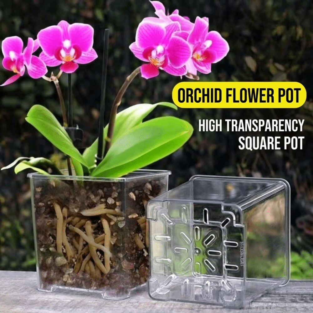 Transparent Material Acrylic P - Aloe Vera Pot recension och pris